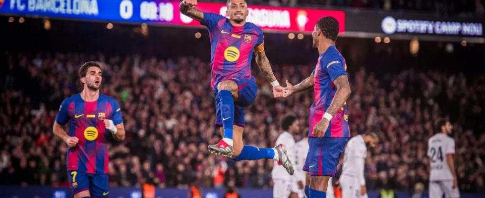 WhatsApp Image 2025-12-15 at 19.47.36